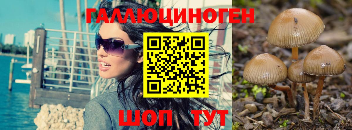 Тула  Галлюциногенные грибы мухоморы  Вход с VPN 